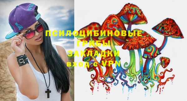 МДПВ Верхний Тагил
